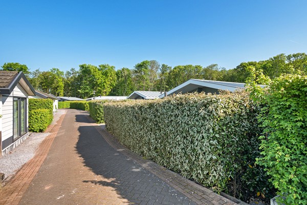 Kapelleboslaan 41_03.jpg